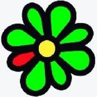    icq,    icq 6.5